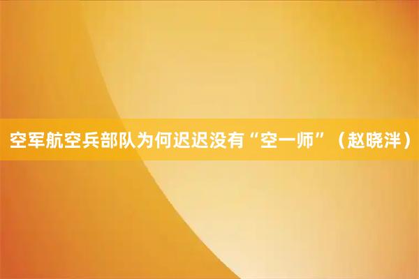 空军航空兵部队为何迟迟没有“空一师”（赵晓泮）