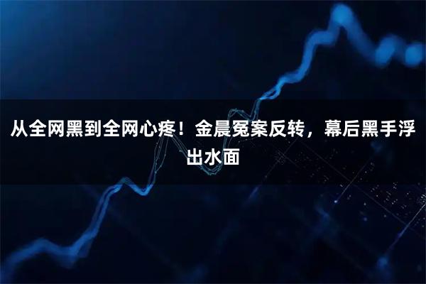 从全网黑到全网心疼！金晨冤案反转，幕后黑手浮出水面